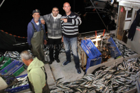 بالفيديو: بعد سنوات عجاف - الريّس أبو إبراهيم من يافا يصطاد كمية ضخمة من الأسماك 